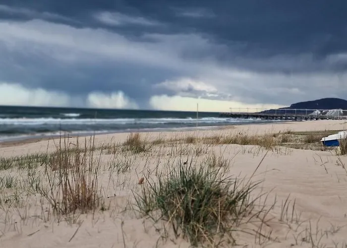 Affittacamere Casa De Marinero Fish Fish